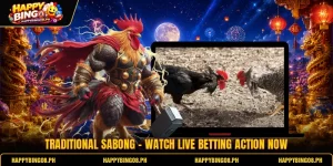Traditional Sabong - Watch Live Betting Action Now
