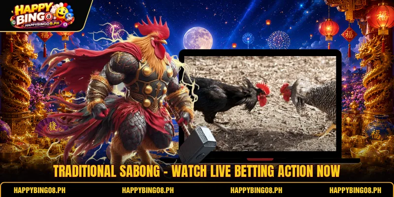 Traditional Sabong - Watch Live Betting Action Now